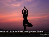 Yoga Movement To Streamline the Digestive System